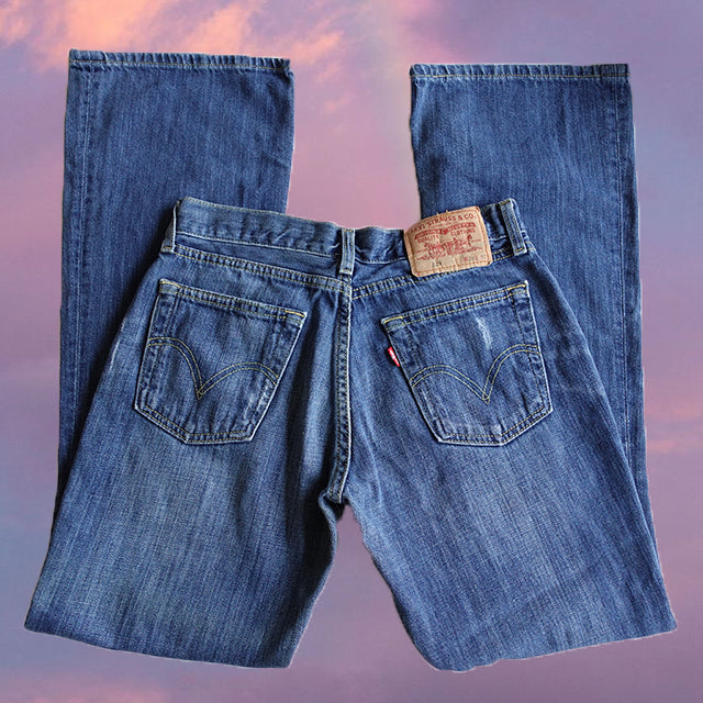 Vintage Y2K Levi's Blue Low Waist Flared Jeans (36 EU/UK 8)