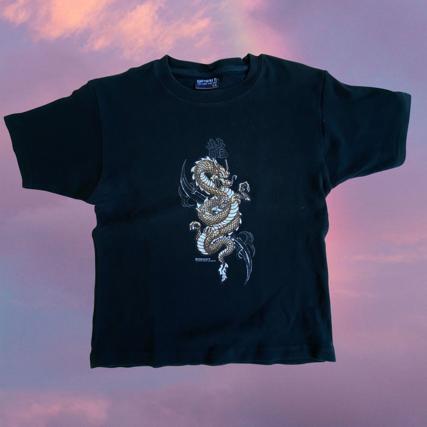 Vintage 90’s Skater Black Baby Tee with Dragon Graphic (M)